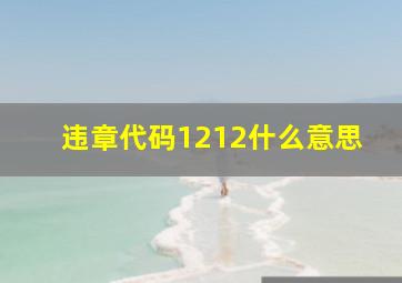 违章代码1212什么意思