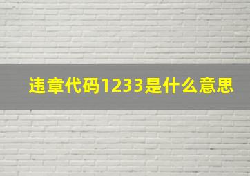 违章代码1233是什么意思