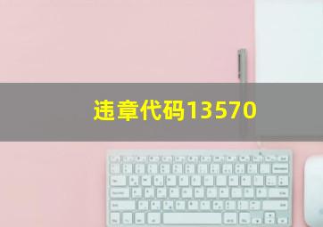 违章代码13570