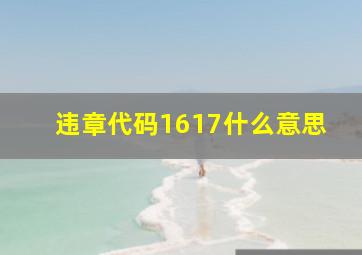 违章代码1617什么意思