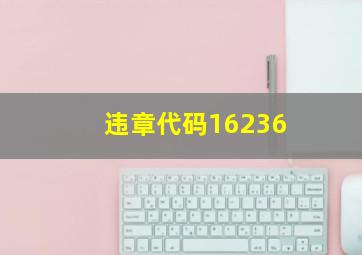 违章代码16236