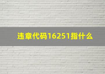 违章代码16251指什么 