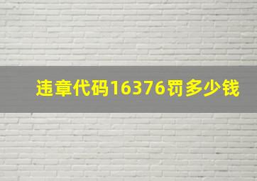 违章代码16376罚多少钱