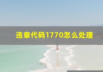 违章代码1770怎么处理