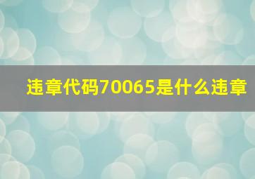 违章代码70065是什么违章