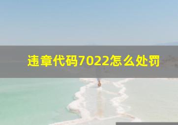 违章代码7022怎么处罚