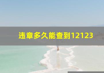 违章多久能查到12123