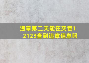 违章第二天能在交管12123查到违章信息吗