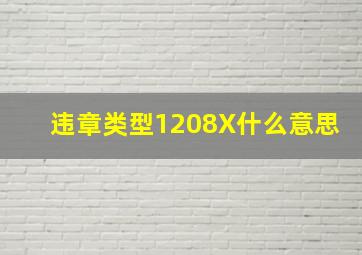 违章类型1208X什么意思