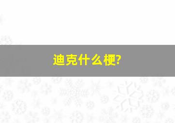 迪克什么梗?