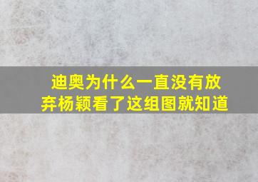 迪奥为什么一直没有放弃杨颖,看了这组图就知道