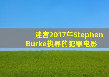 迷宫(2017年Stephen Burke执导的犯罪电影) 