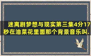 迷离剧《梦想与现实》第三集4分17秒,在油菜花里面那个背景音乐叫...