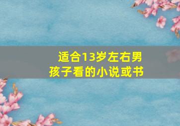 适合13岁左右男孩子看的小说或书