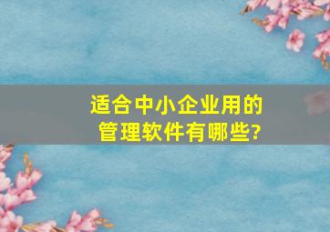 适合中小企业用的管理软件有哪些?