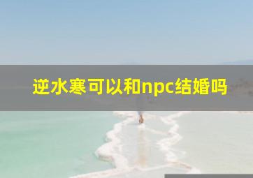 逆水寒可以和npc结婚吗