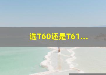 选T60还是T61...