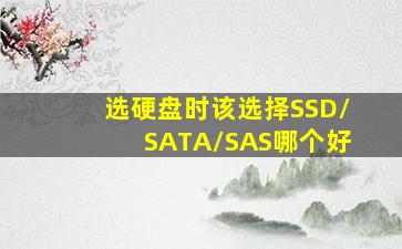 选硬盘时,该选择SSD/SATA/SAS哪个好