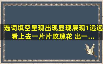 选词填空。呈现;出现;显现;展现(1)远远看上去,一片片玫瑰花 出一...