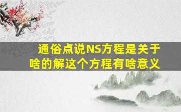 通俗点说NS方程是关于啥的。解这个方程有啥意义