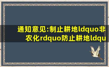 通知意见:制止耕地“非农化”,防止耕地“非粮化”