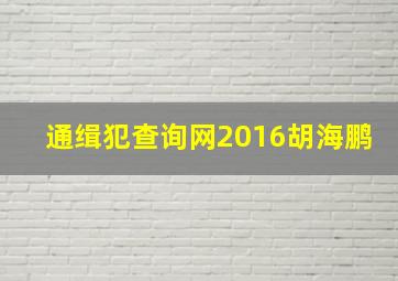 通缉犯查询网2016胡海鹏