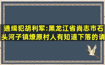 通缉犯胡利军:黑龙江省尚志市石头河子镇燎原村人有知道下落的请回贴!
