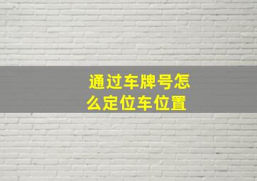 通过车牌号怎么定位车位置 