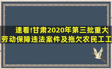 速看!甘肃2020年第三批重大劳动保障违法案件及拖欠农民工工资“黑...