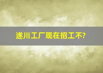 遂川工厂现在招工不?