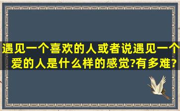 遇见一个喜欢的人或者说遇见一个爱的人是什么样的感觉?有多难?