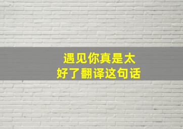 遇见你真是太好了。翻译这句话