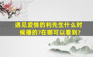 遇见爱情的利先生什么时候播的?在哪可以看到?