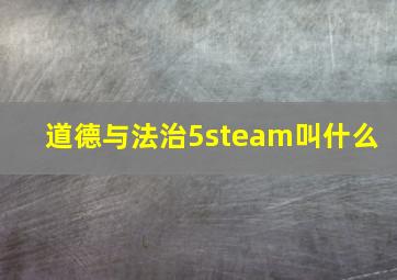 道德与法治5steam叫什么 