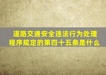 道路交通安全违法行为处理程序规定的第四十五条是什么(