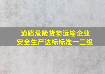 道路危险货物运输企业安全生产达标标准(一二级)