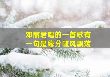 邓丽君唱的一首歌有一句是缘分随风飘荡