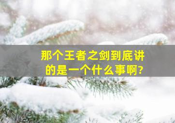 那个《王者之剑》到底讲的是一个什么事啊?