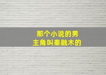 那个小说的男主角叫秦融木的