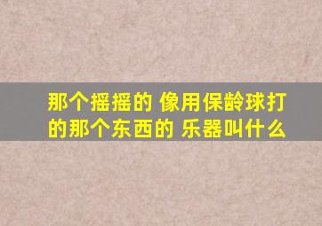 那个摇摇的 像用保龄球打的那个东西的 乐器叫什么