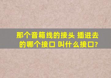 那个音箱线的接头 插进去的哪个接口 叫什么接口?