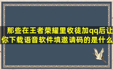 那些在王者荣耀里收徒加qq后让你下载语音软件填邀请码的是什么