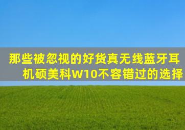 那些被忽视的好货,真无线蓝牙耳机,硕美科W10不容错过的选择