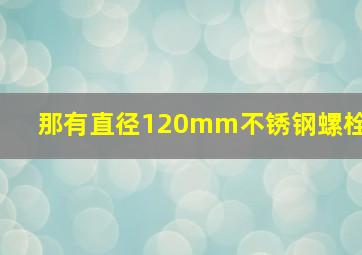 那有直径120mm不锈钢螺栓