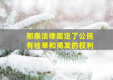 那条法律规定了公民有检举和揭发的权利