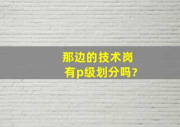 那边的技术岗有p级划分吗?