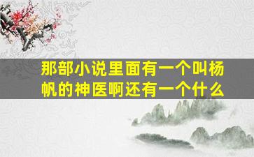 那部小说里面有一个叫杨帆的神医啊还有一个什么