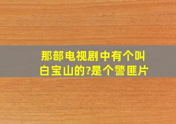 那部电视剧中有个叫白宝山的?是个警匪片