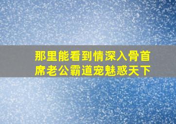 那里能看到情深入骨首席老公霸道宠魅惑天下