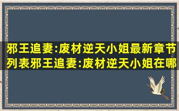 邪王追妻:废材逆天小姐最新章节列表邪王追妻:废材逆天小姐在哪个网占